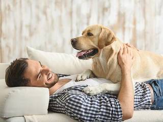 A dog in the apartment