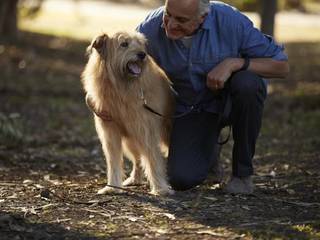 The breed of the dog and the character of its owner