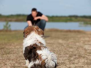 Mistakes in dog training