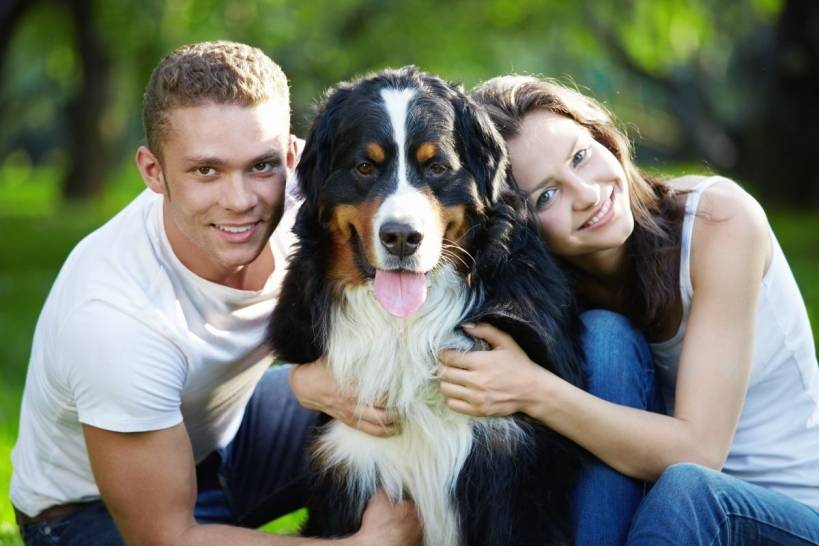 Tips on Choosing a Dog