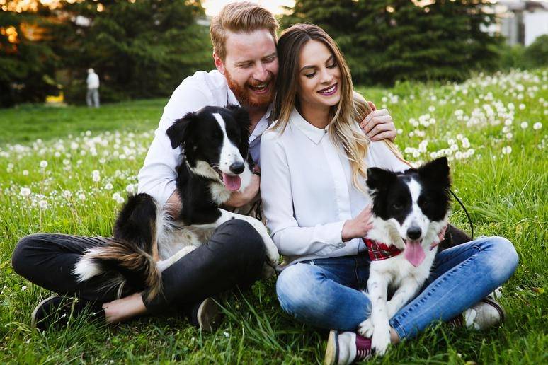 Ins and outs of dog's training in the family