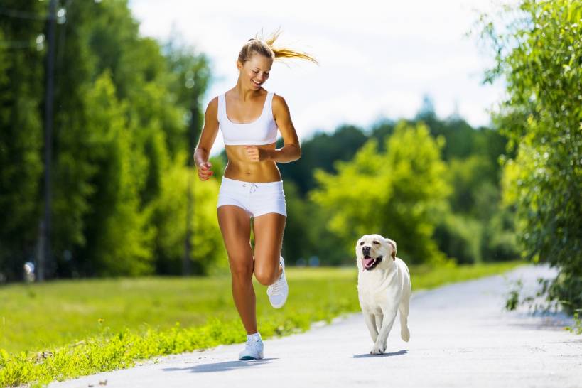 How to choose a dog for the city?
