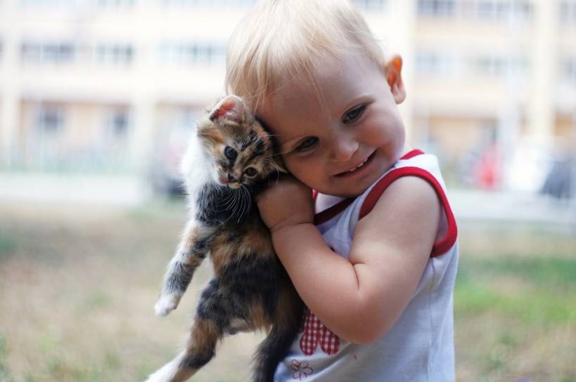 Does your cat loves you? 10 Signs of love in this article!