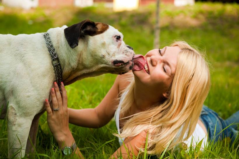 Dogs who love and treat us