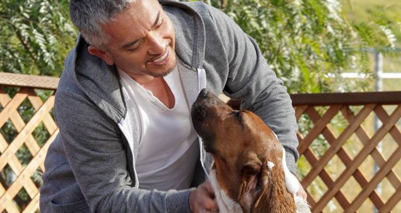 Caring for a puppy: bathing and hygiene