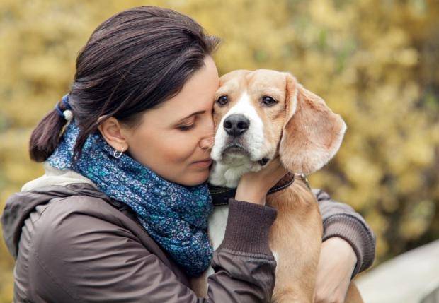 Choosing a healthy puppy