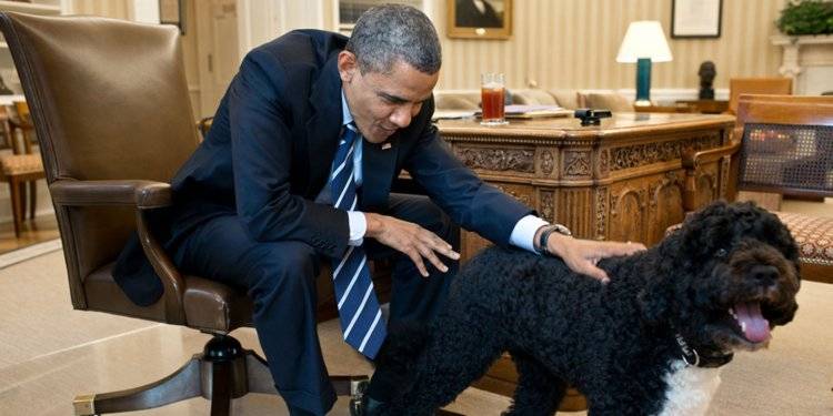 Dogs U.S. presidents