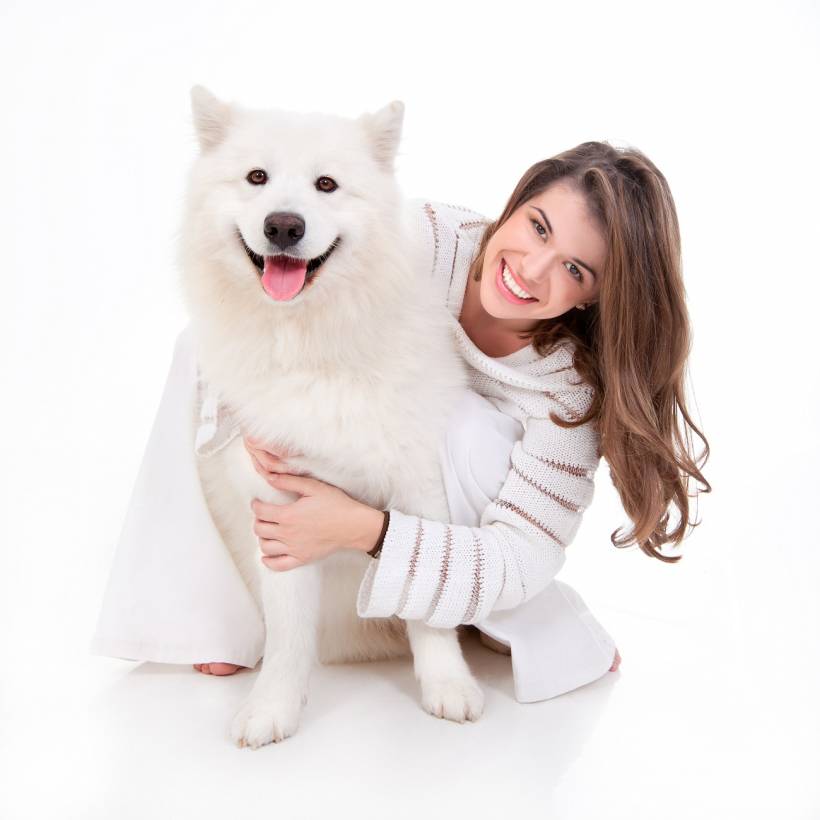 Rules for training a puppy