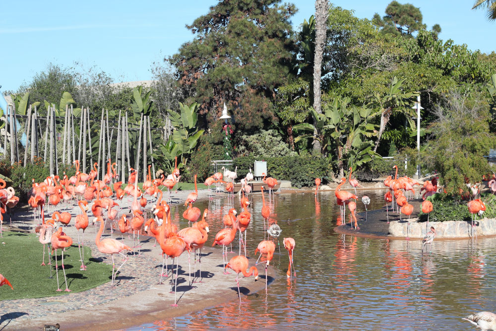 San Diego Zoo