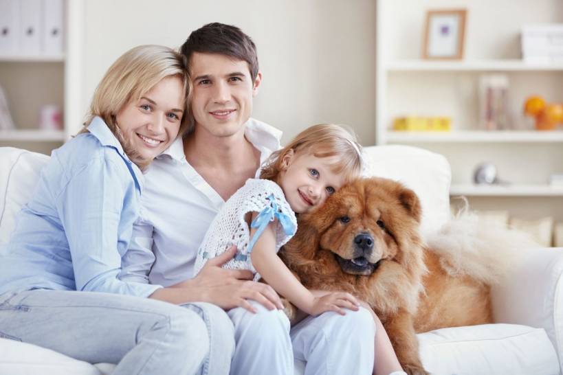 How to choose a breed of dog for allergy sufferers