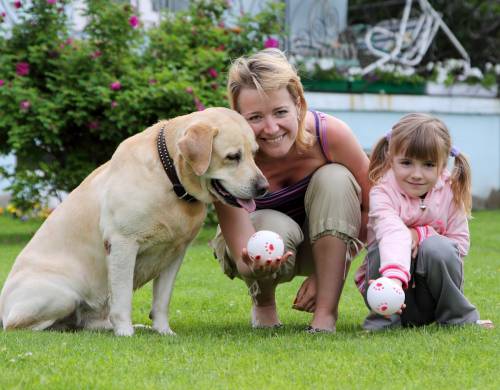 Pets, Dogs & Cats for sale Pets, Dogs & Cats for sale